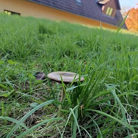 Na Pasekach U Lesa Pohoda Apartment