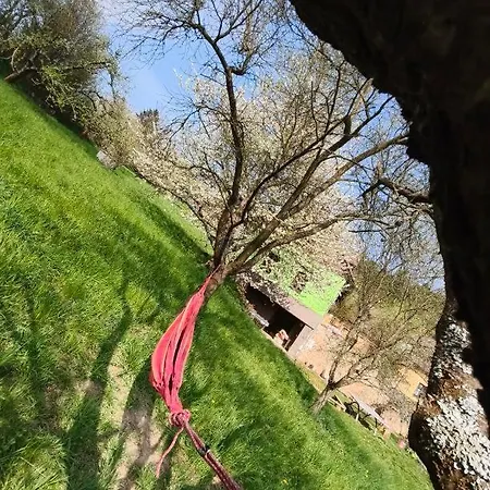 Na Pasekach U Lesa Pohoda *